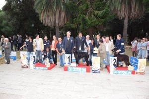 v-esposizione-nazionale-canina-a-crotone-tra-i-premiati-un-cane-cirotano4